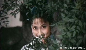 精变老版电影在线观看,重温经典,穿越时空的奇幻之旅 第2张 精变老版电影在线观看,重温经典,穿越时空的奇幻之旅 第2张