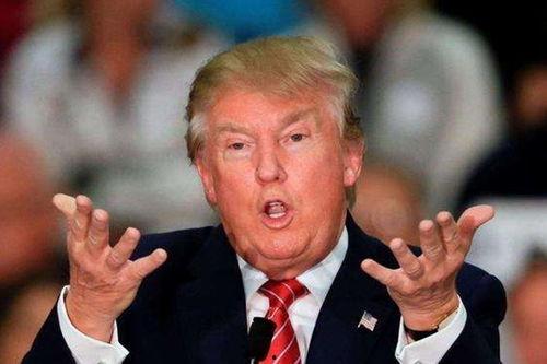 美国教授爆料最新消息,揭秘教育界惊人内幕